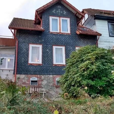 Vakantiehuis Julia Villa Bad Sachsa Exteriör bild