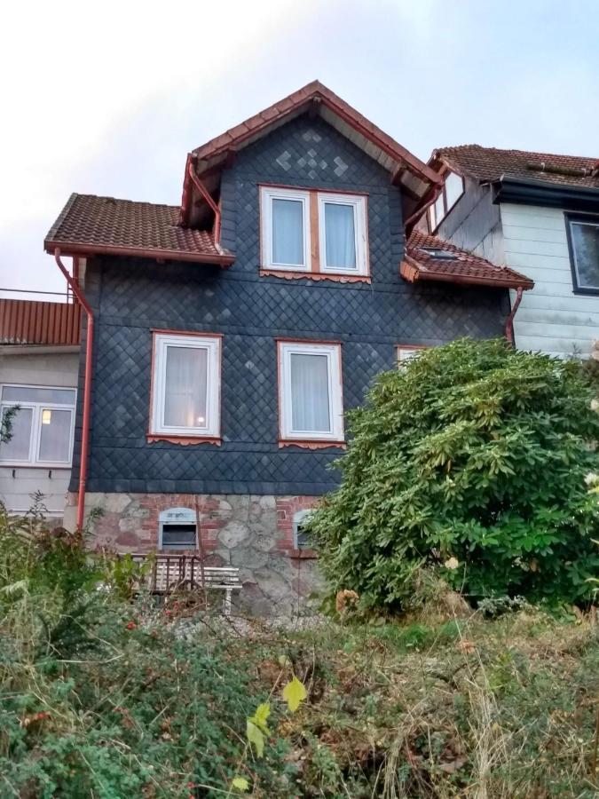 Vakantiehuis Julia Villa Bad Sachsa Exteriör bild